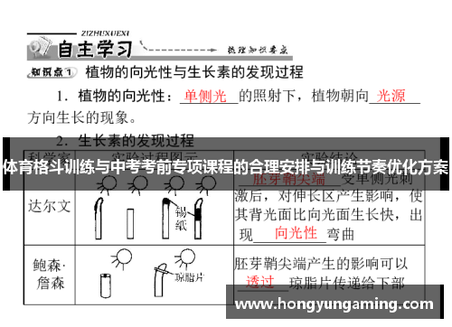 体育格斗训练与中考考前专项课程的合理安排与训练节奏优化方案