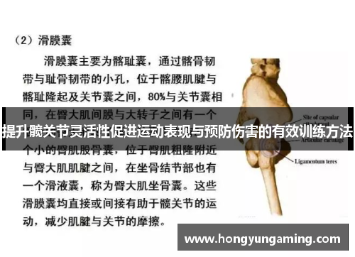 提升髋关节灵活性促进运动表现与预防伤害的有效训练方法