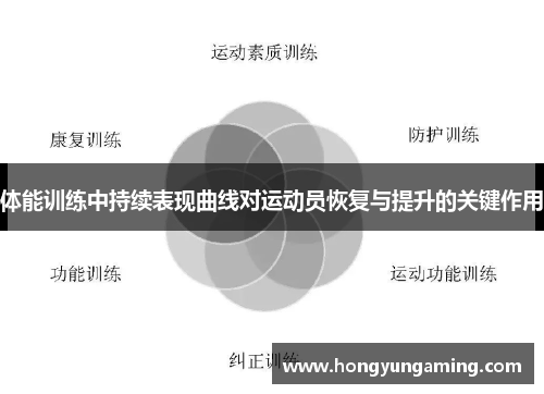 体能训练中持续表现曲线对运动员恢复与提升的关键作用